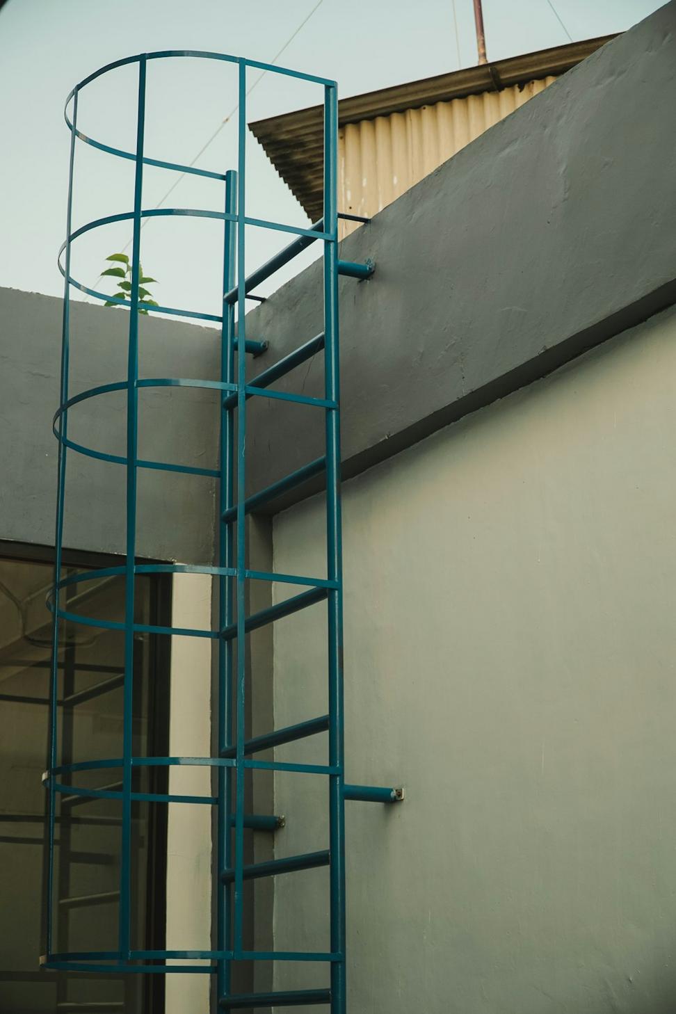 Gypsum board