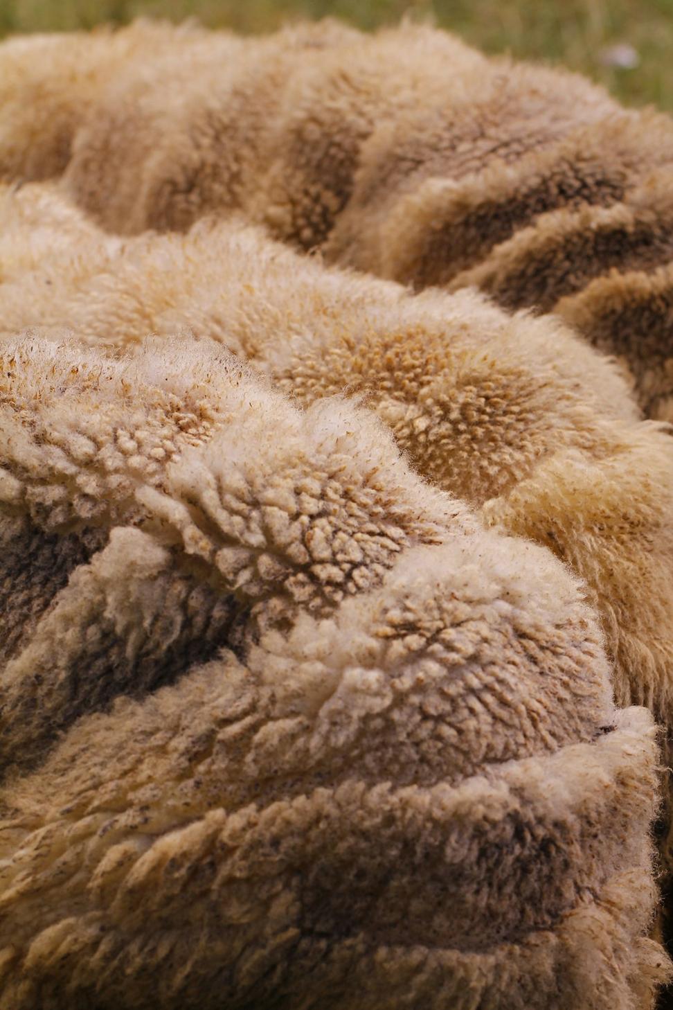 Mineral wool insulation